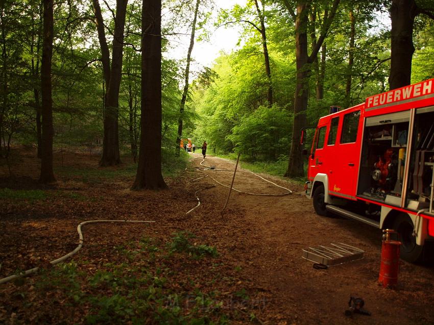 Waldbrand Bergisch Gladbach Bensberg P110.JPG